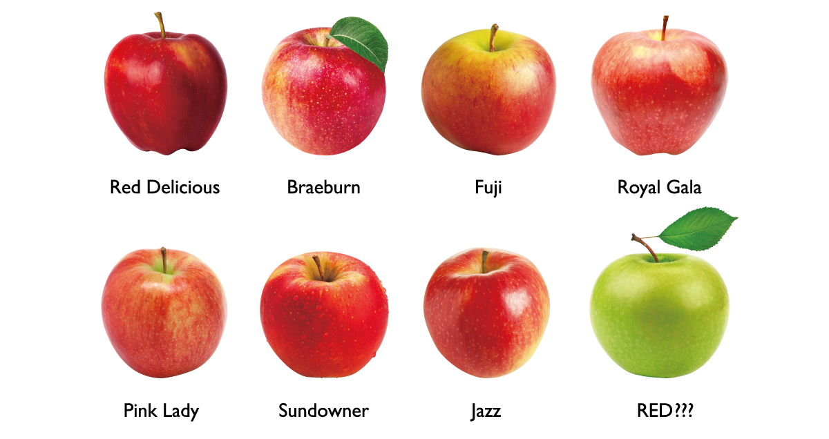 Có ít nhất bảy sắc thái khác nhau của màu "đỏ" giữa các giống táo khác nhau. Chưa kể đến giống táo cuối cùng thậm chí không có màu đỏ! Do đó, có sự khác biệt khi chúng ta sử dụng đồ vật để mô tả màu sắc, và chúng ta cần tìm cách để giảm sự khác biệt đó.