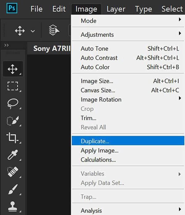 Press duplicate and you will go to next step.