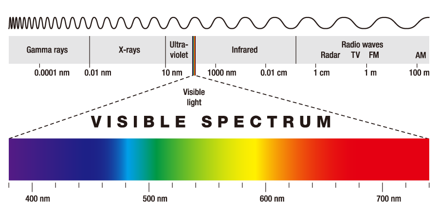 Скорость цвета. Wavelength, уровень Elementary. Visible. Visible перевод. Visibility: visible;.