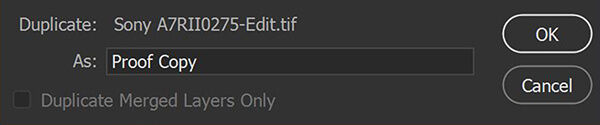 process-of-soft-proofing-in-photoshop-to-print-with-consistent-colors