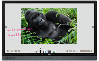 EZWrite 5 Camera Import