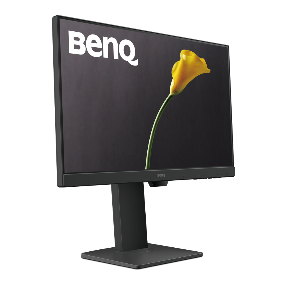 Buy BenQ GW2480L  24 Inch FHD IPS EyeCare LED Monitor
