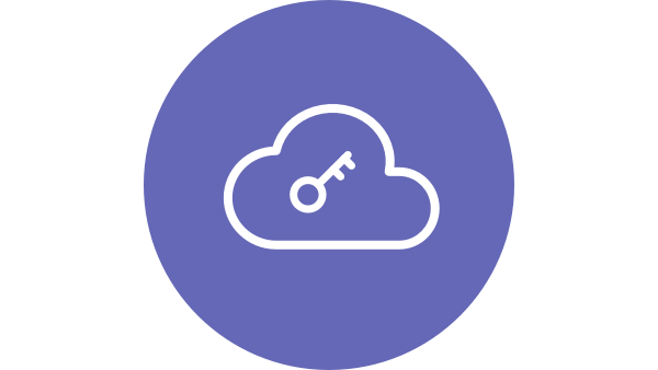 Safe cloud access icon