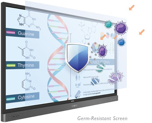 A germ-resistant screen prevents the transmission of illness-causing bacteria.