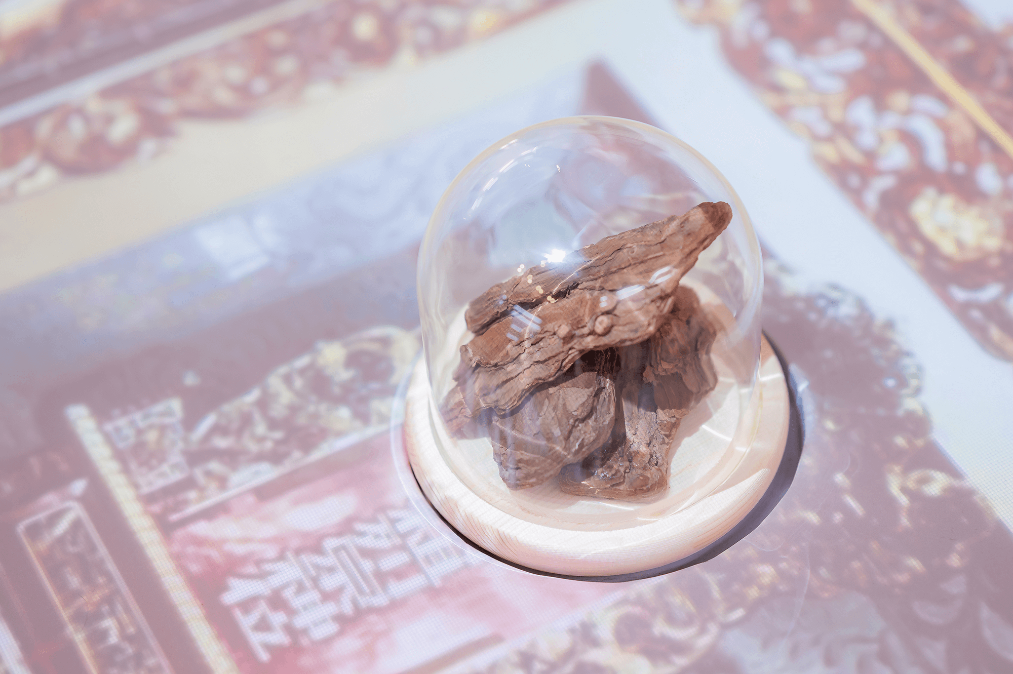 BenQ 投影與顯示技術，驚艷 2025 台灣設計展「是，彰化」總行互動展館