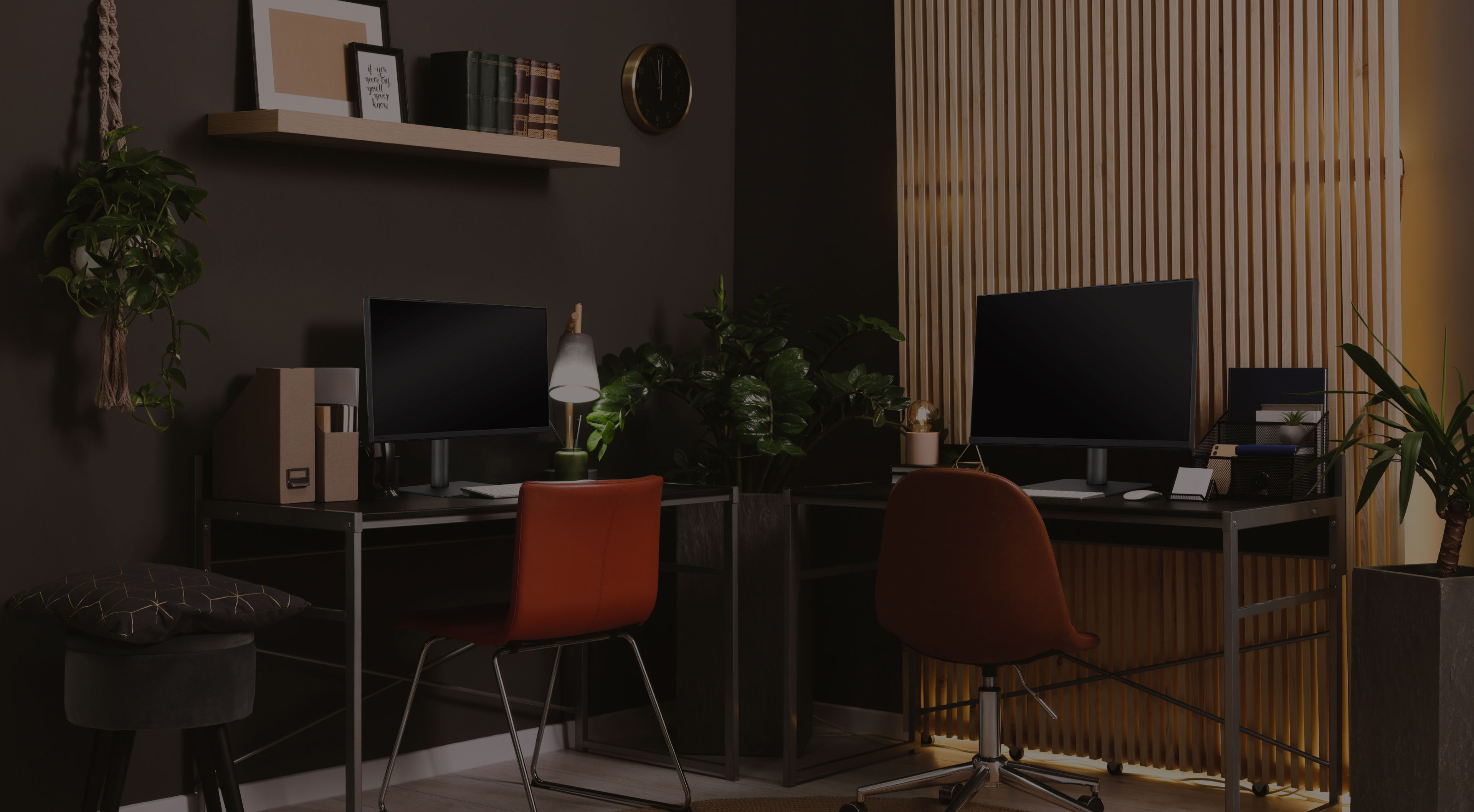 BenQ SW240 24-inch 2K AdobeRGB Photographer Monitor