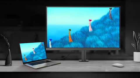 BENQ PD3205UA 31.5