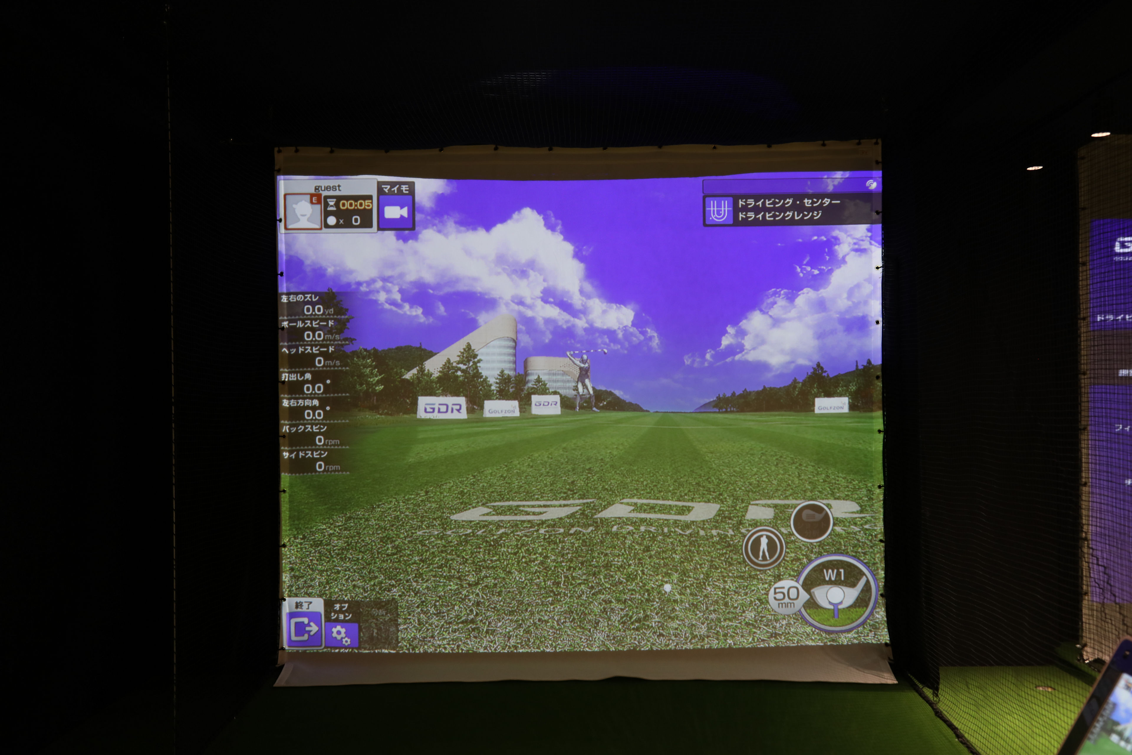 LK936ST for a vivid representation of the green grass and the blue of the sky.