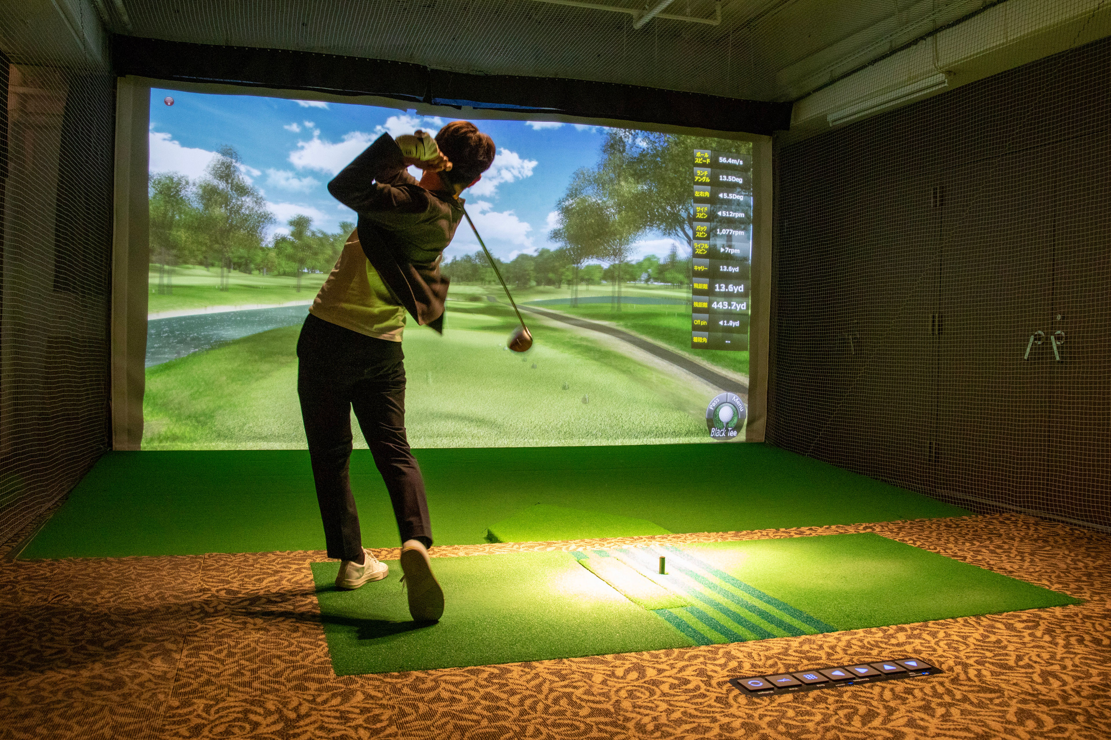 Golf Simulator Home