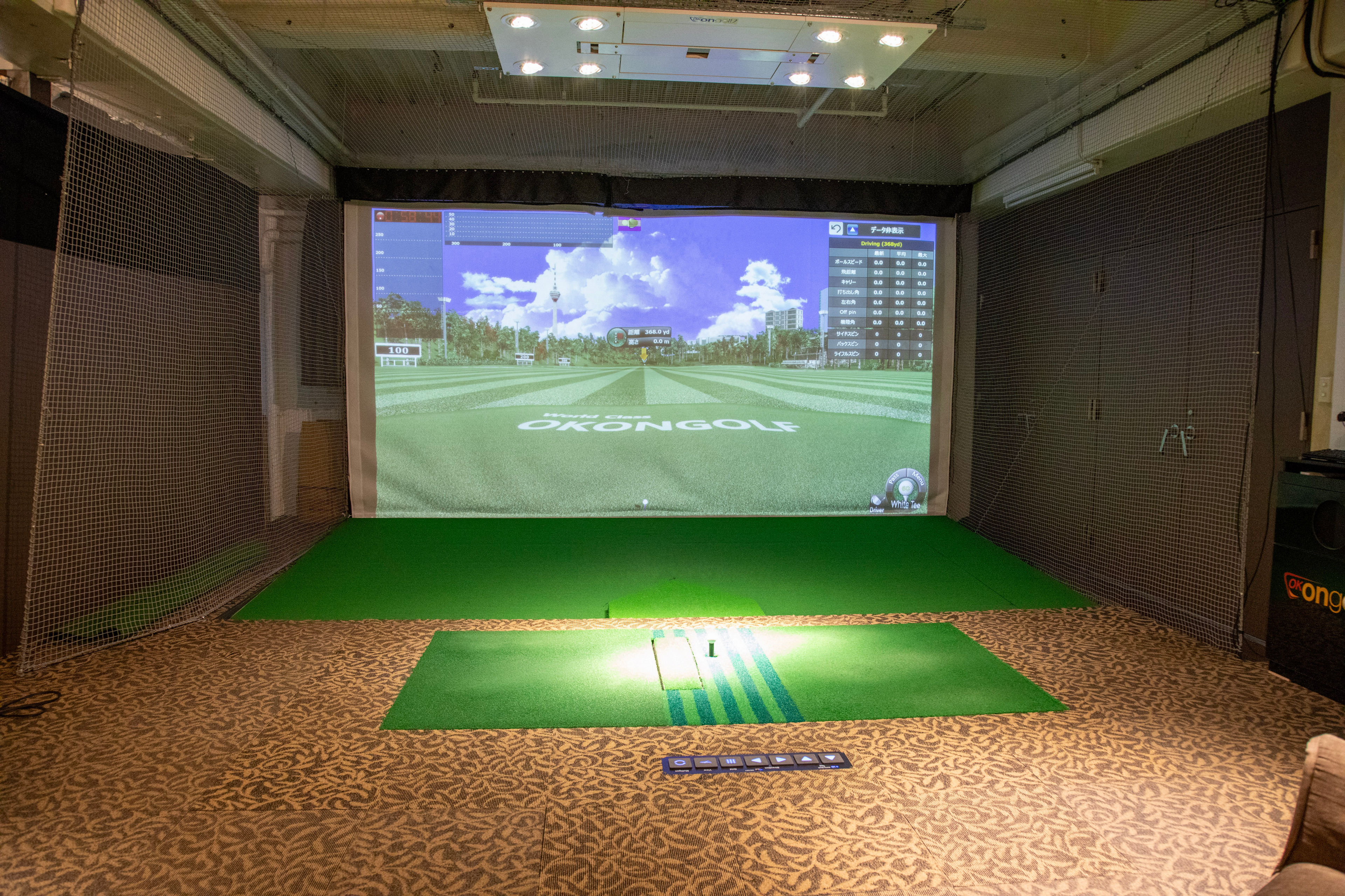 Golf Simulator Home