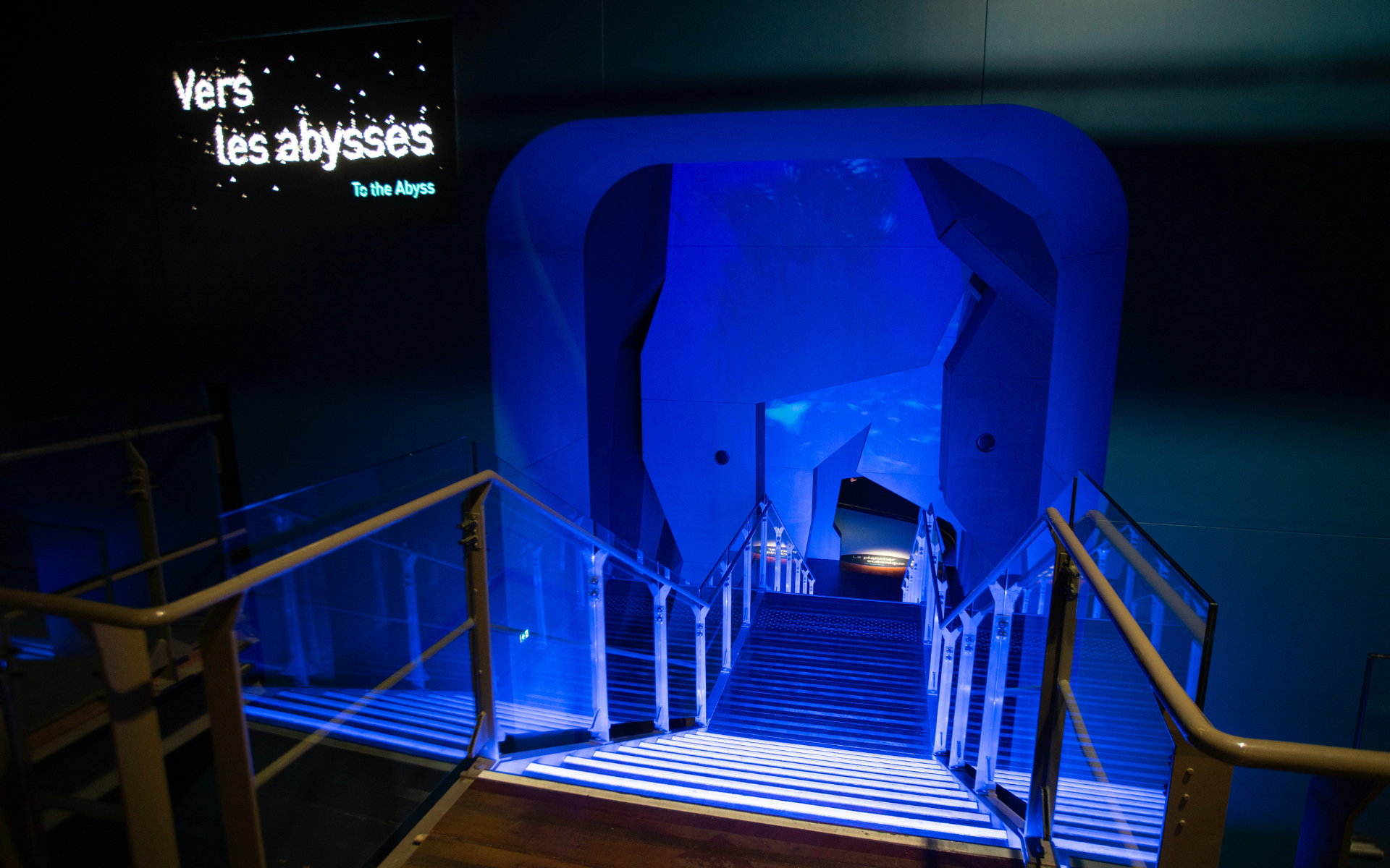 Cité de la Mer Museum Uplifts the Underwater Experience with BenQ Projectors