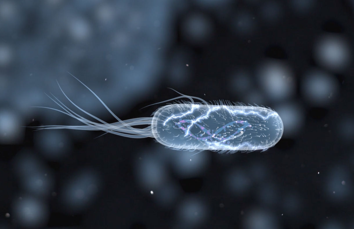 Nano-ionic silver stopping germ