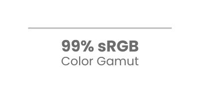 BenQ BL2490T comes with 99% sRGB color for greater color performance