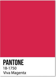 Колір 2023 року за версією Pantone, і чому це має значення