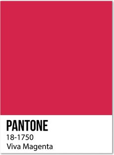 Culoarea anului 2023 de la Pantone şi de ce contează?