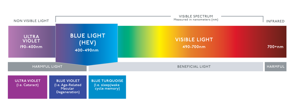 Visible light can be grouped into three categories. The wavelength of blue light is between 400 - 490 nm