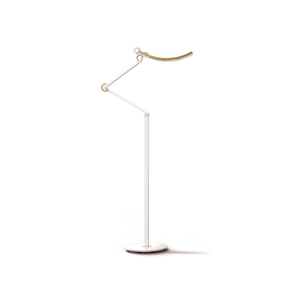 E-Reading Floor Lamp