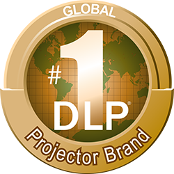 1 DLP