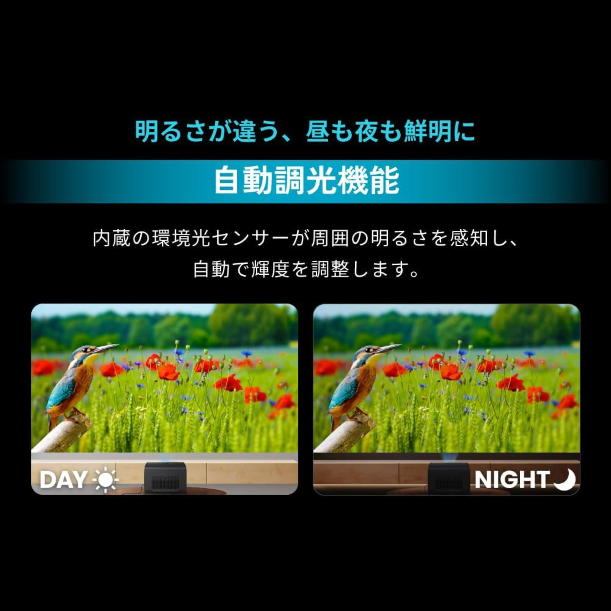 GP520 - GP520-gallery6