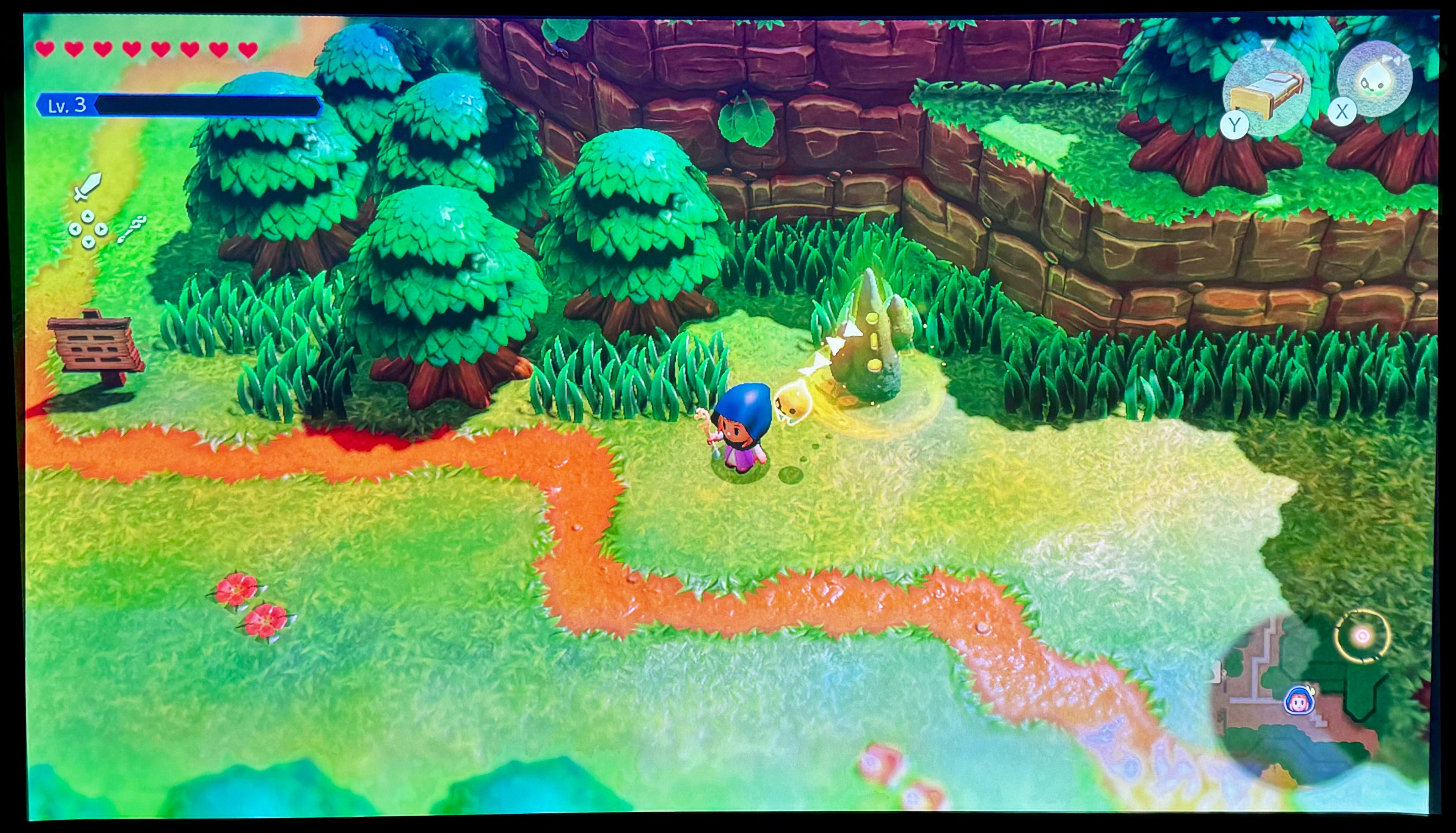 Legend of Zelda Echoes of Wisdom