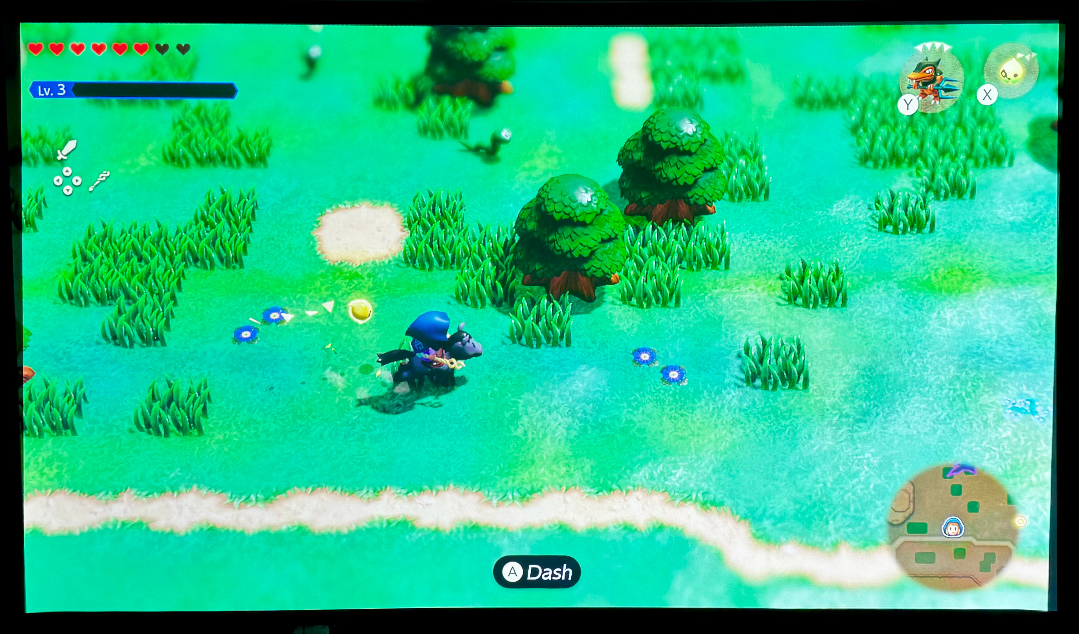 Legend of Zelda Echoes of Wisdom