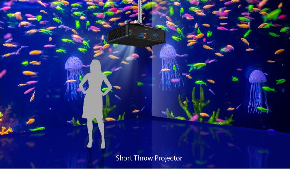 BenQ Installation projectors with built in fixed short-throw lens enable you to place the projector so that you can stand closer to the screen without casting a shadow.