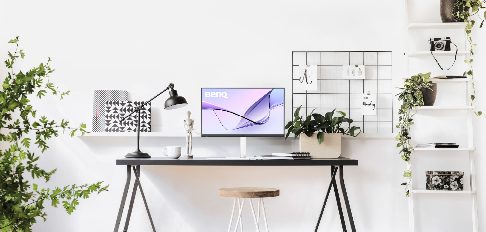 Mac Lifestyle Survey