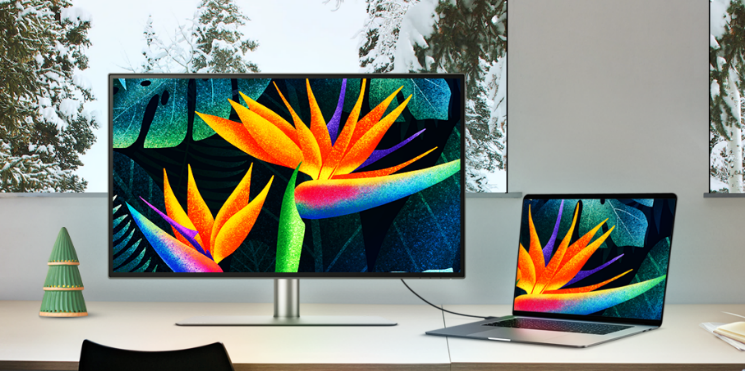 MAC kompatible Monitore