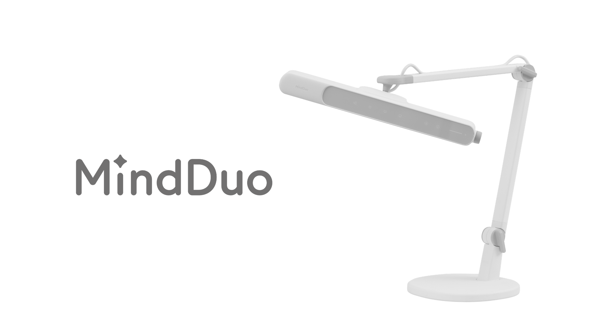 Medium Store Card - 31