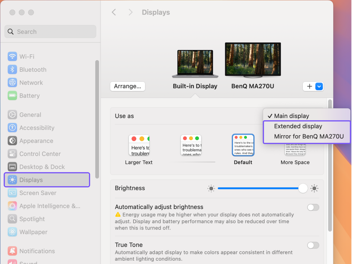 Choose Extend or Mirror in MacOS system