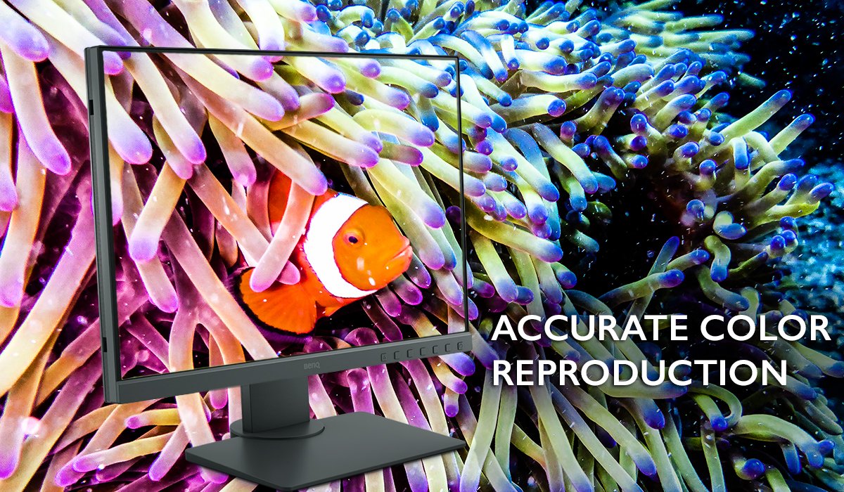 24 inch Adobe RGB accurate monitor
