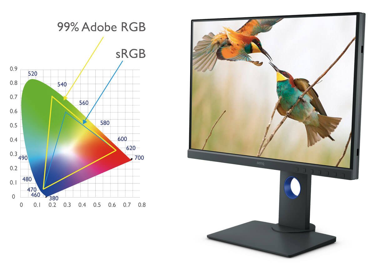 BenQ IPS 24 inch Monitor SW240 can fulfill the eager for more realistic color representation of outdoor and nature photograph with 99% Adobe RGB.