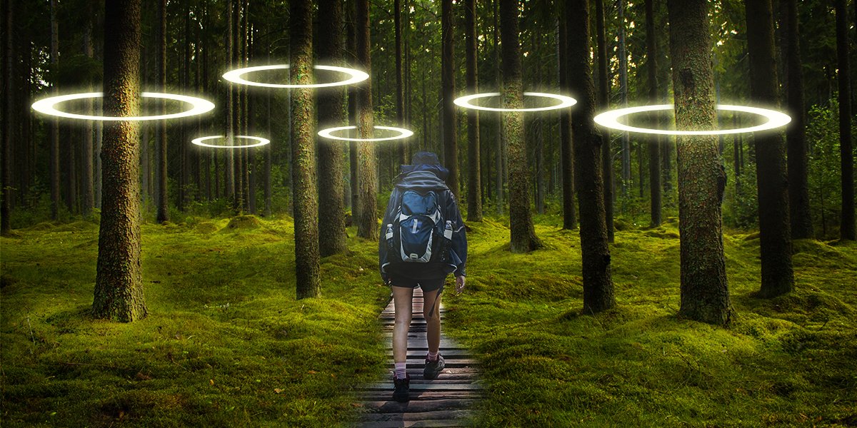 a man walking into the wood and seeing loops of light on the trees