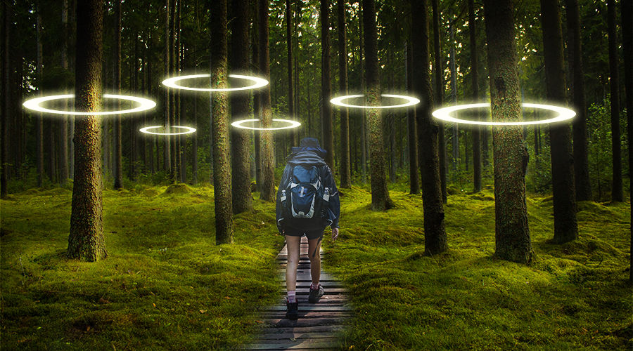 a man walking into a forest seeing trees of loops of light on them