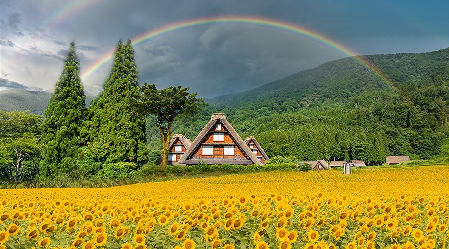 a house in a field of sunflowers under a rainbow in the style of Akira Kurosawa's movie Dreams