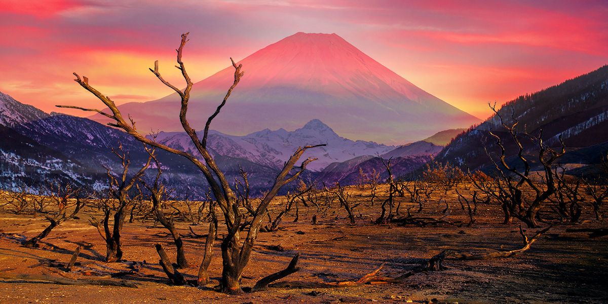 trees in a desert in the sunset with a mountian ahead in the style of the 1990 movie Dreams