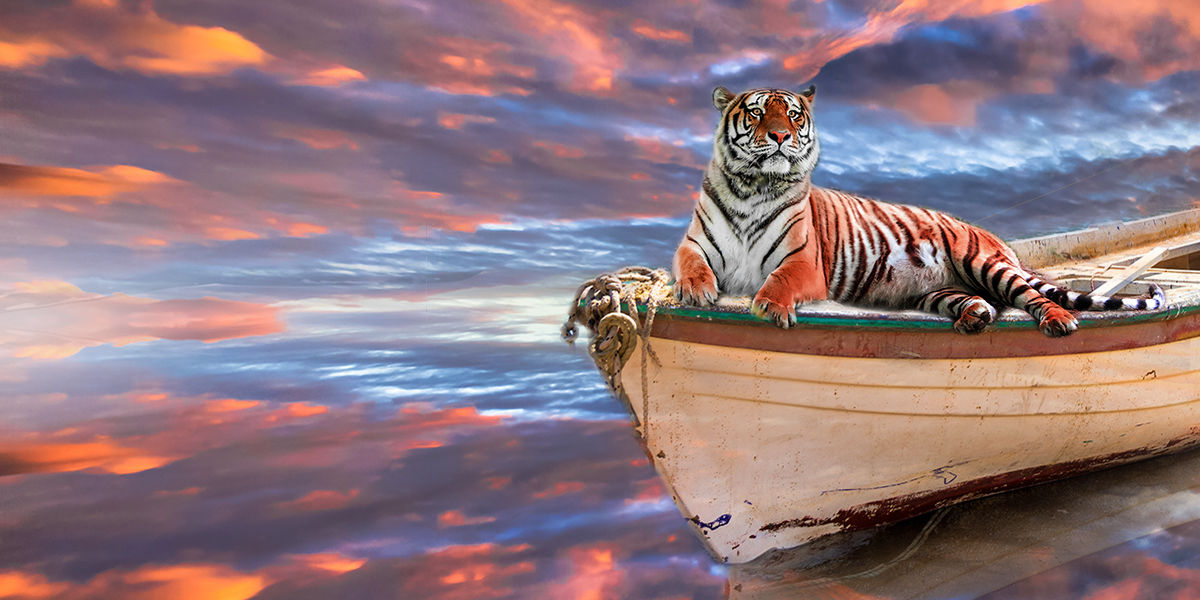 Ang Lee's Life of Pi uses color to deliver a visual feast