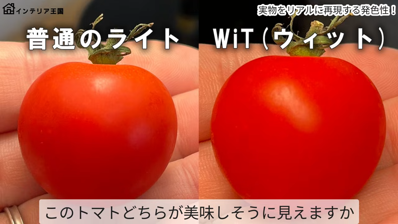 デスクライトの比較