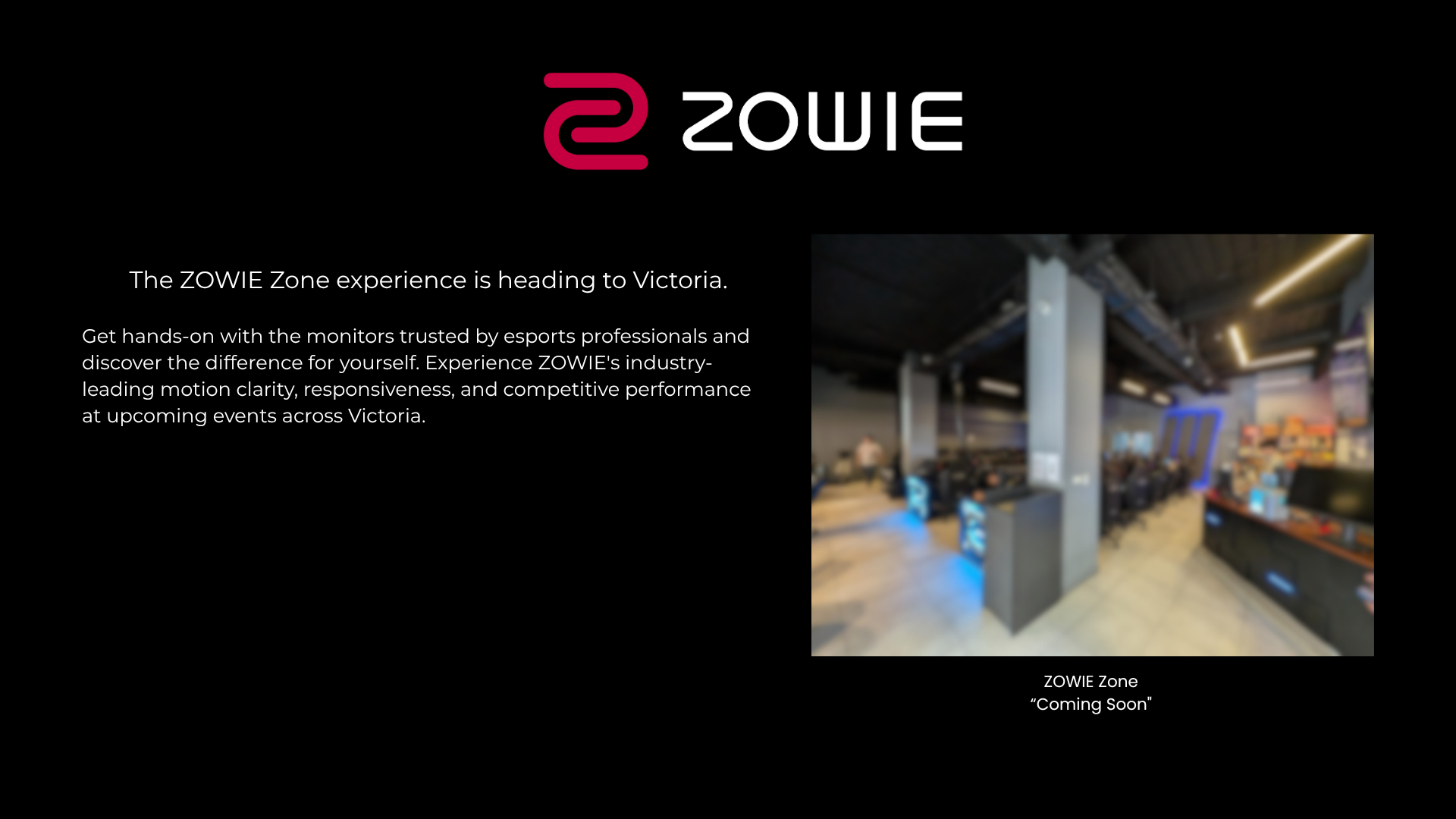ZOWIE ZONE VIC - 1