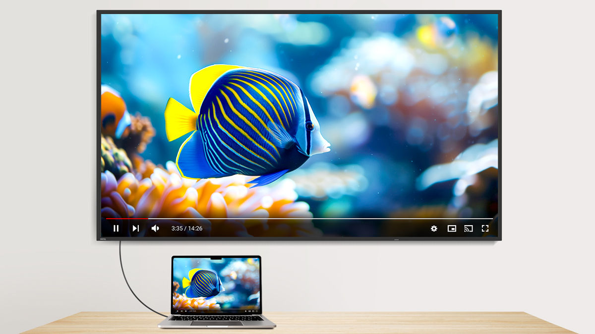 Cinema mode lets you play video projects, films, and signage videos with vivid colours and depth. Connect an HDMI cable for HDR delivery and enjoy brighter highlights, deeper blacks, and richly detailed shadows for an immersive visual experience. 