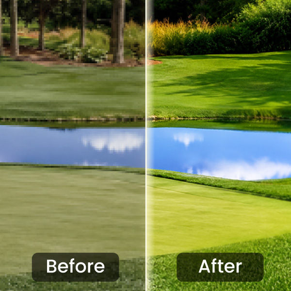 BenQ AK900ST AI picture quality technology reproducing vibrant sun-drenched golf course colors on a simulator screen