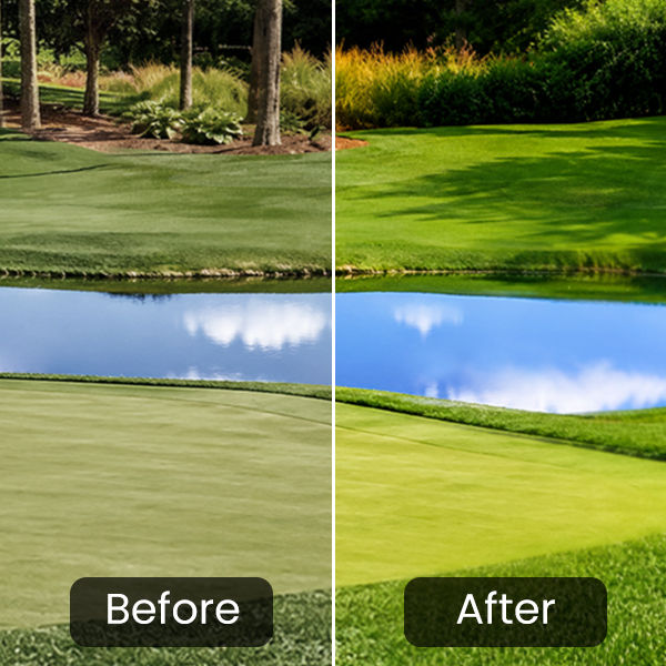 BenQ AK900ST AI picture quality technology reproducing vibrant sun-drenched golf course colors on a simulator screen
