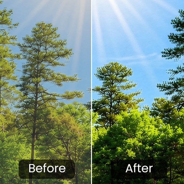 BenQ AK900ST AI-enhanced contrast converting SDR golf simulator content to HDR quality with 500K contrast zones