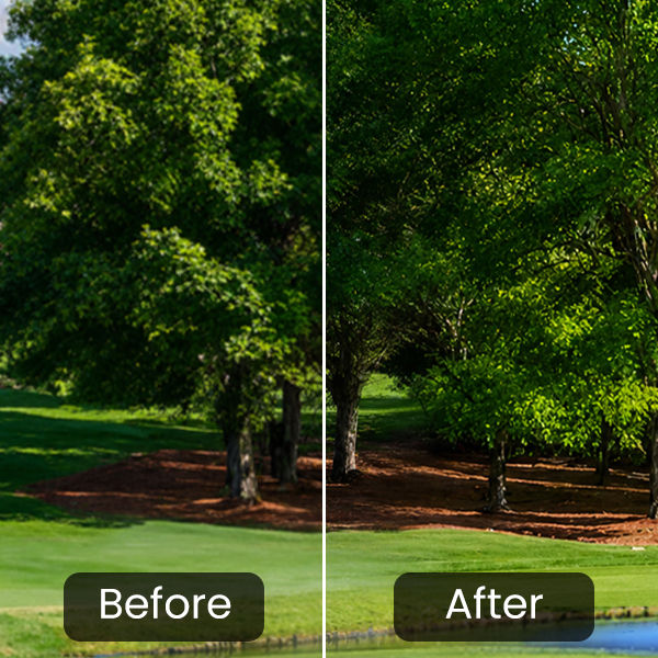 BenQ AK900ST AI Noise Reduction eliminating artefacts and shimmering for crisp, smooth golf simulator visuals