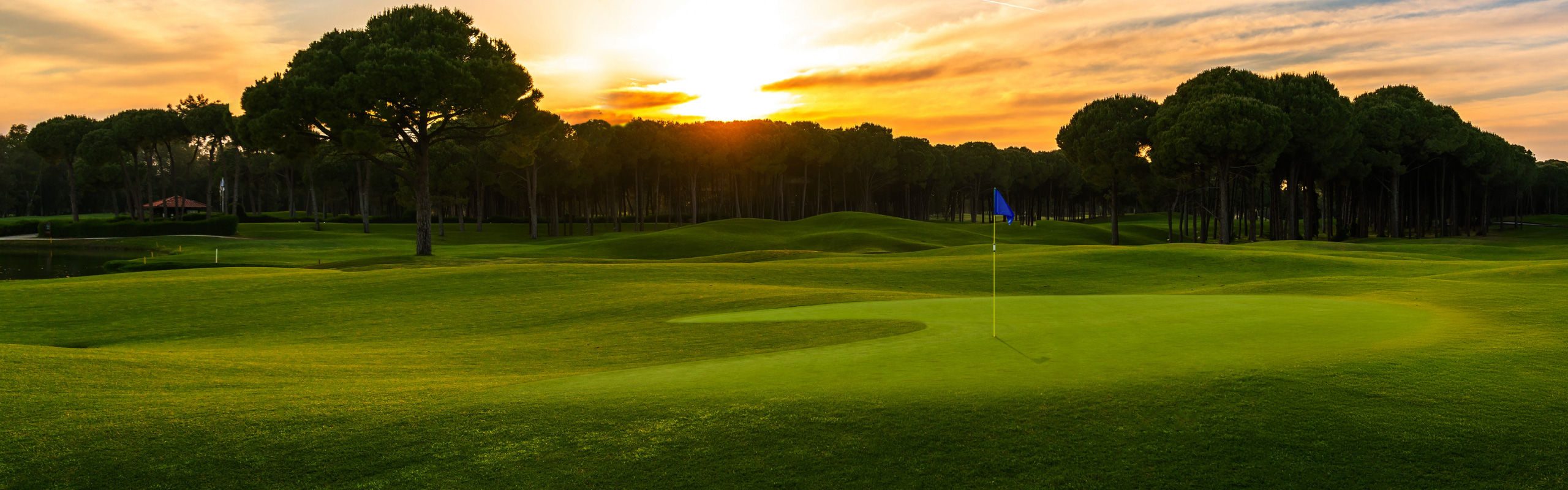BenQ Golf Projector Hub+ platform offering setup tools and expert insights for custom golf simulator design