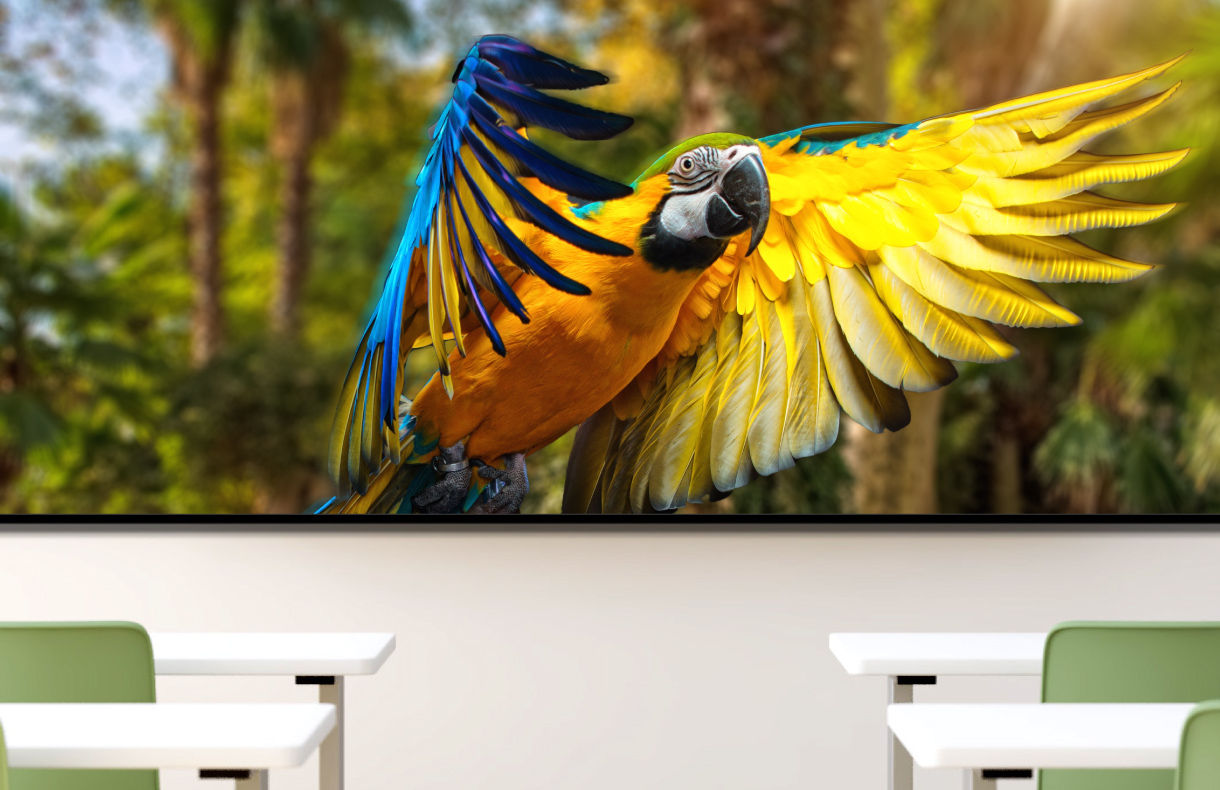 BenQ DLP-Bildungsprojektoren bieten ein klareres, lebensechteres Seherlebnis mit lebendigen Farbmodi