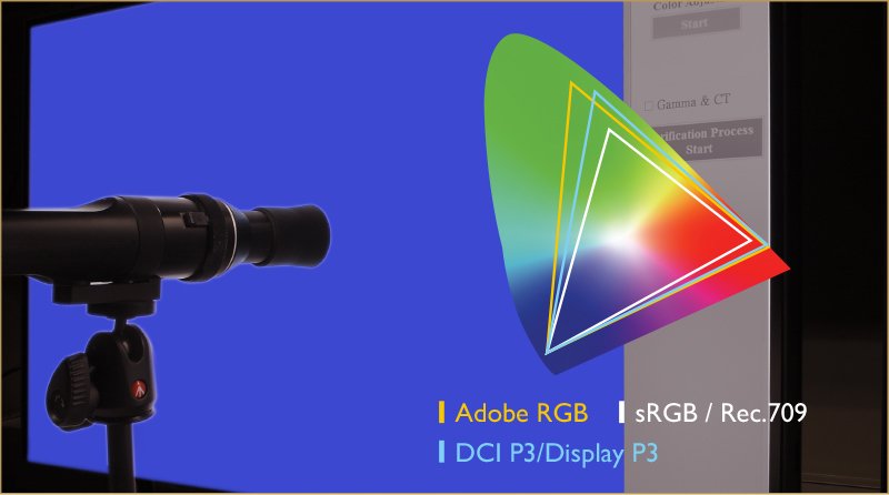 benq pre-calibrated monitor correct color gamut brings out precise color performance to reproduce authentic colors