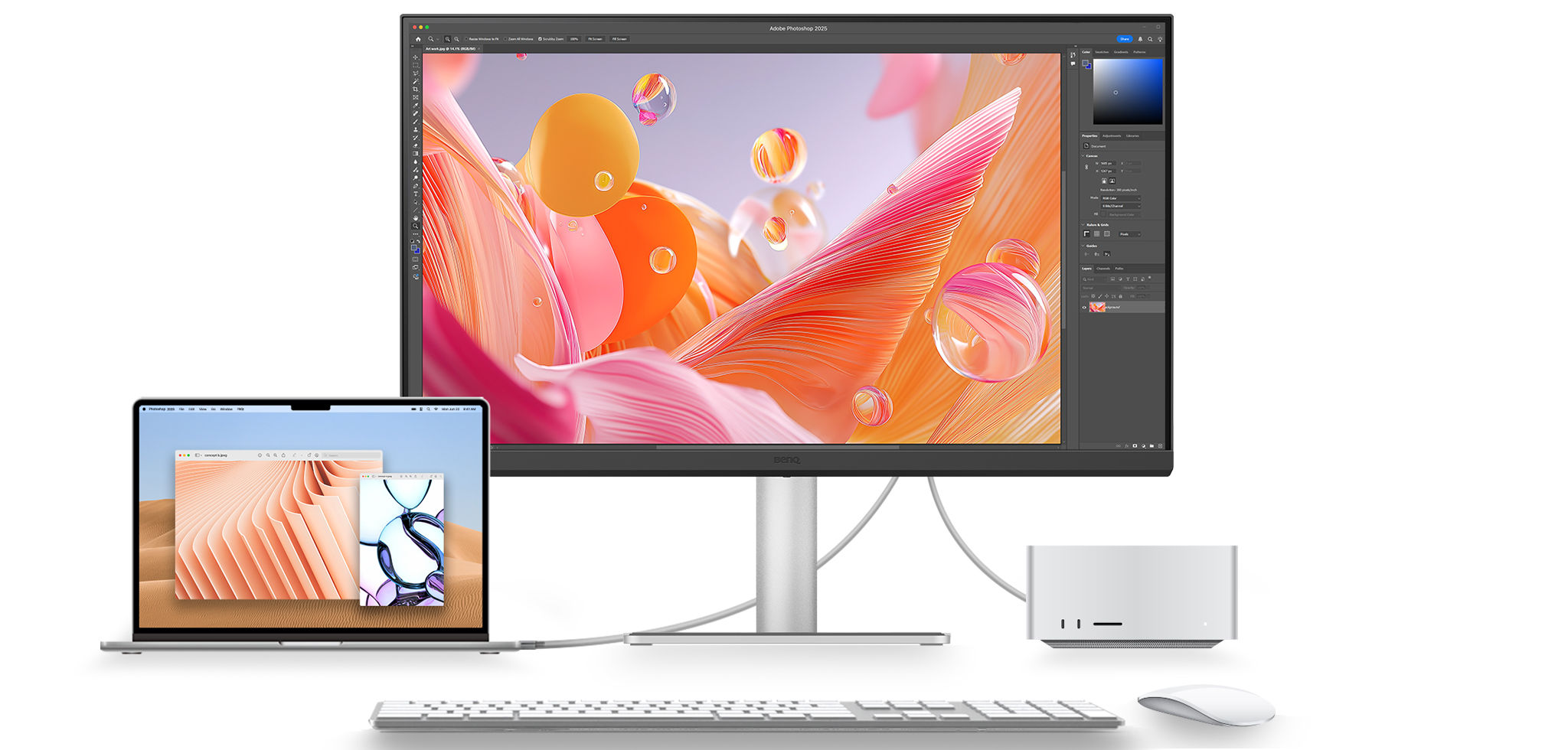 BenQ Monitor for Mac