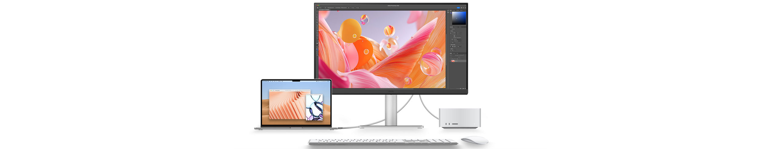 BenQ Monitor for Mac