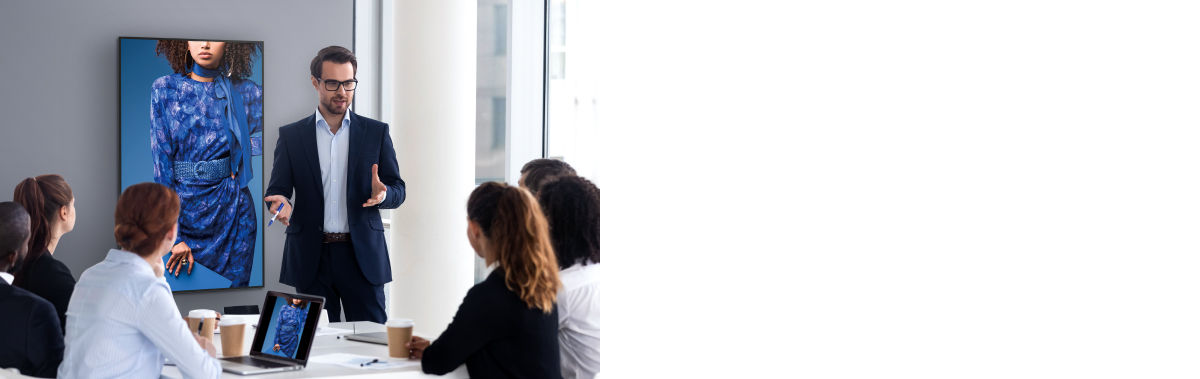 BenQ pantone-validated displays